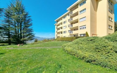 Top 5 des raisons de faire appel à une agence immobilière à Montreux
