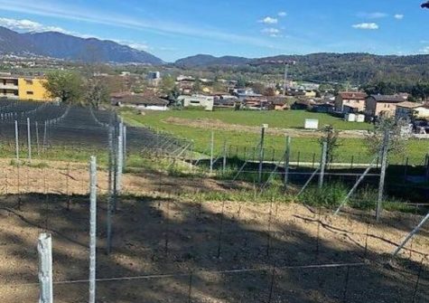 Terreno edificabile