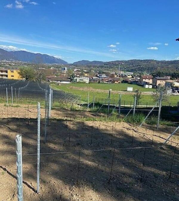 Terreno edificabile