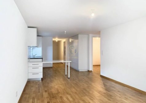 Payerne – Lot 3