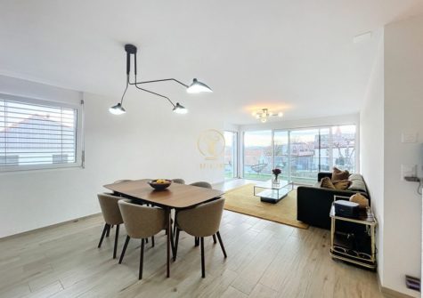 GIMEL – Appartement contemporain et lumineux copie