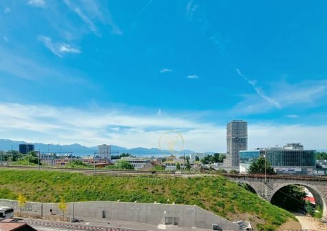 LAUSANNE, appartement 4.5 pièces spacieux et ensoleillé. Vue sur le lac et les montagnes.