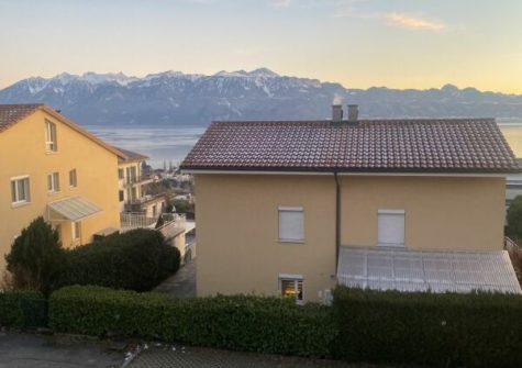 La Conversion – Exclusivité – maison jumelle avec vue sur le lac