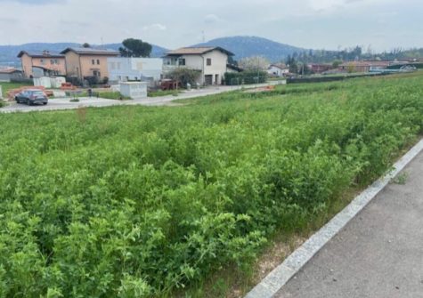 STABIO -Terreno edificabile con licenza approvata per 2 ville