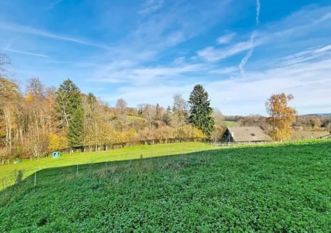 CORCELLES-LE-JORAT, villa mitoyenne neuve de 7.5 pièces