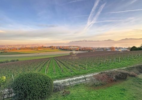 ECHICHENS – Belle maison individuelle avec vue imprenable le lac et les vignes